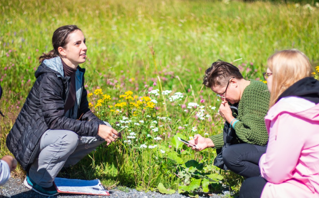 Herbs and Talks-13