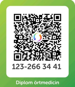 Qr Diplom